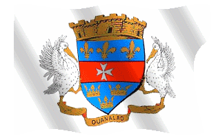 st barth flag